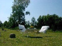 Blick aus dem Salon in den Garten