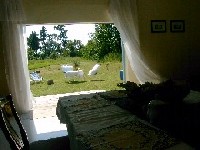 Blick aus dem Salon in den Garten